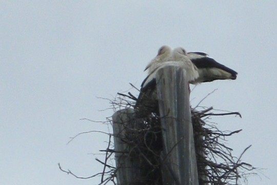 bild2