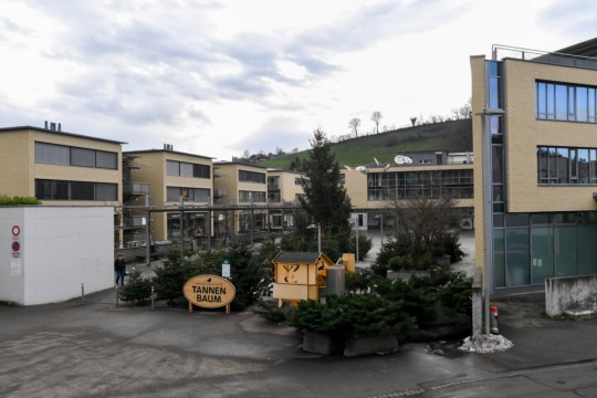 Bild Das hat mich gefreut: Bärenplatz in Grün