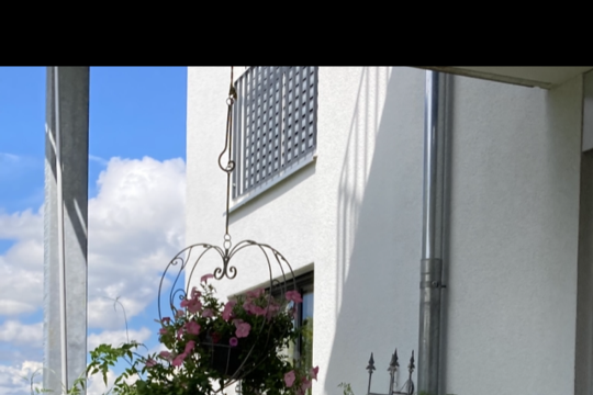 IMG_6154.png
