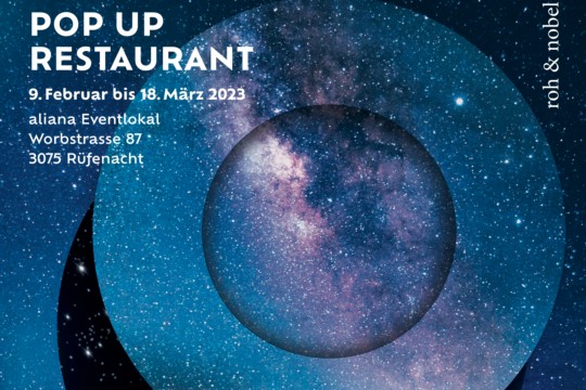 Plakat a sky full of stars 2023