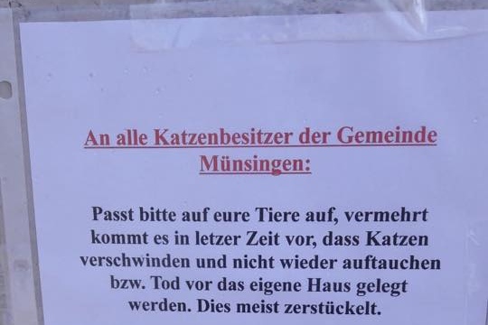 Unbenannt-2