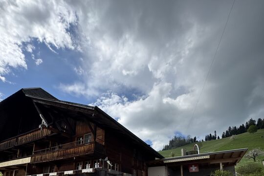IMG_3592.jpeg