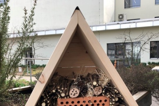 Insektenhotel_2