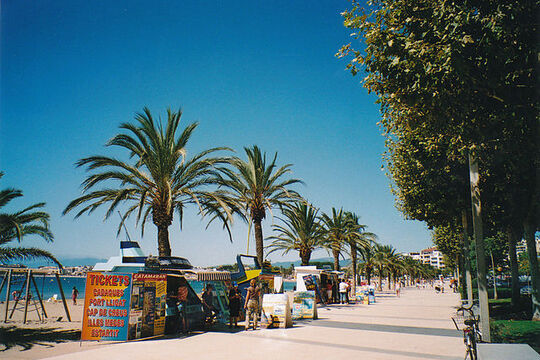 roses-promenade-1.jpg