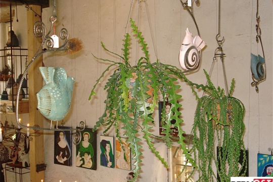 8c6b8baabb5a85403c1c96b004b53a21.jpg