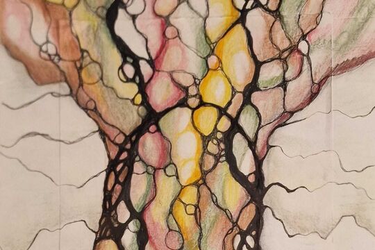 101 Neurobaum Gesundheit Portfolio.jpeg