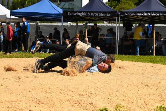 20260509_Jungschwinger_1067
