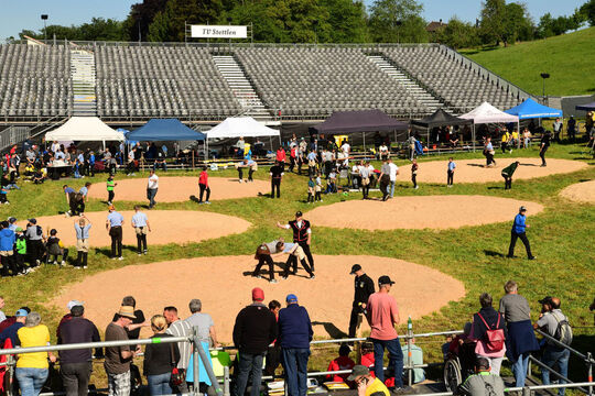 20260509_Jungschwinger_1464
