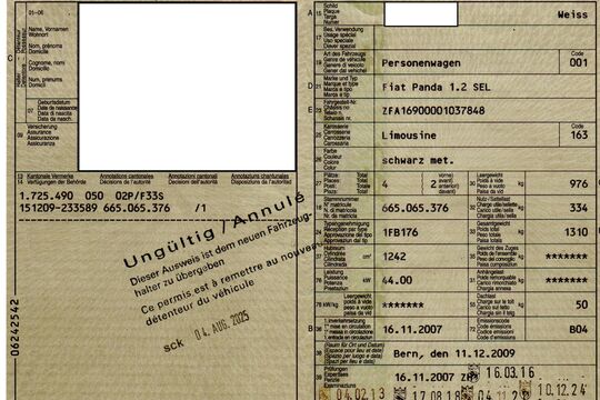 Ausweid Panda Vater 11.jpg