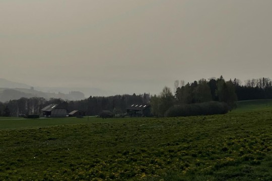 IMG-20240408-WA0000