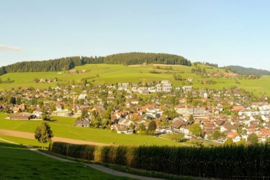 bild1