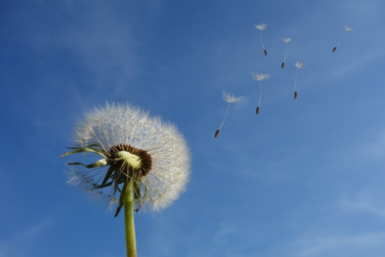 8dda77bdb1f7d866ec87e3f92a61b81a.jpg