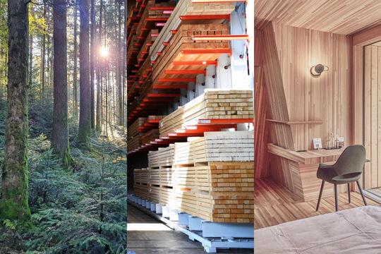 Bild Tage des Holzes in der Region: Einblicke vom Wald bis zum Werk