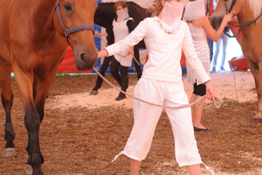 8e0be2df7866d49dde462a5702a118e4.jpg