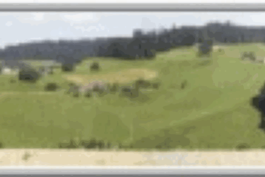 8e10259d71b319a7dc1e33e884ddc601.gif