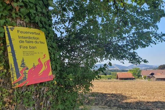 Bild 1. August ohne Raketen