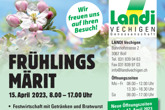 Frühlingsmärit 2023.png