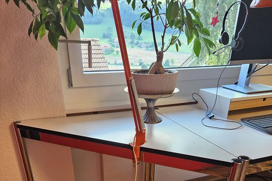 20240902_173551.jpg