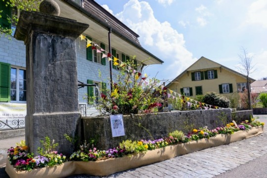 DSC06040(2)
