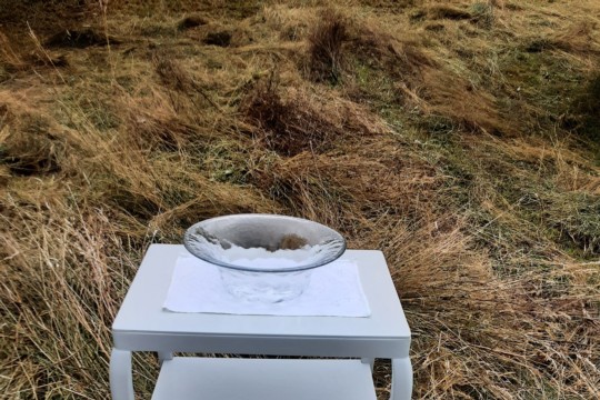 20230809_094731.jpg