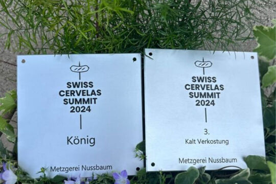 k&ouml;nigscervelat 3.jpeg