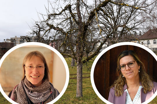 Bild Naturschutzverein kritisiert &ndash; M&uuml;nsingen widerspricht