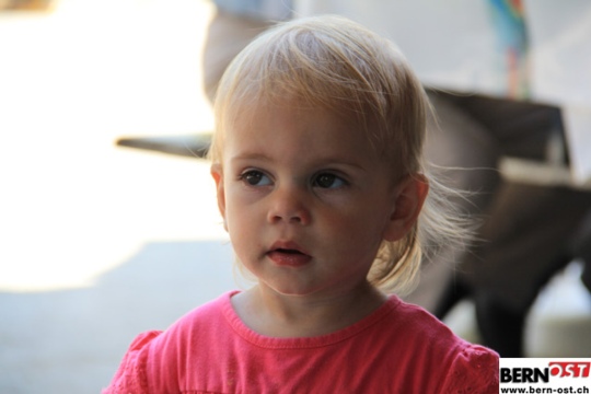 93226dd659a8180dd09e4f8dbfeeb82d.jpg