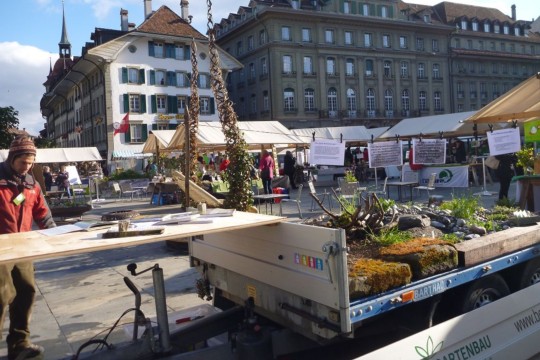 BolzGartenbauW9ilpflanzenmärit