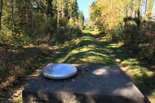 Aaretalleitung