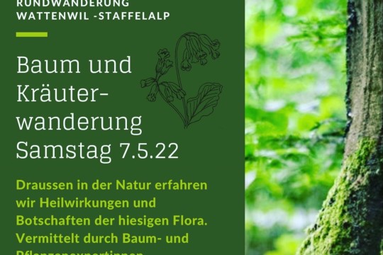 1FD16E1D-BB6B-4229-8D39-33EC09C62F32.jpeg