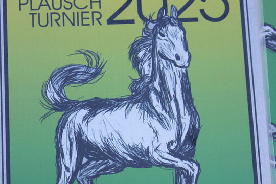 Plauschturnier im Bächi 001