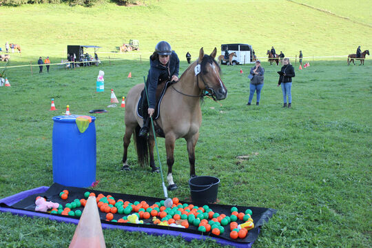 Plauschturnier im Bächi 003