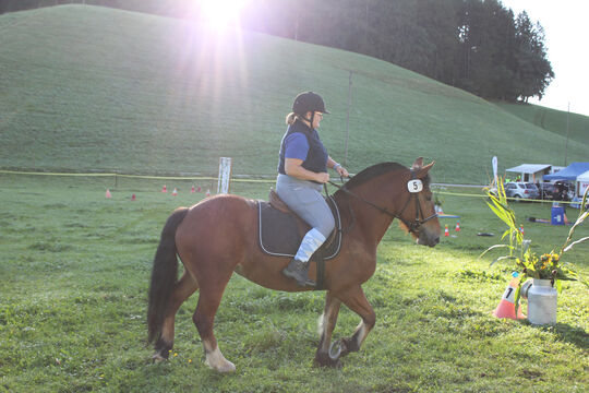 Plauschturnier im Bächi 006