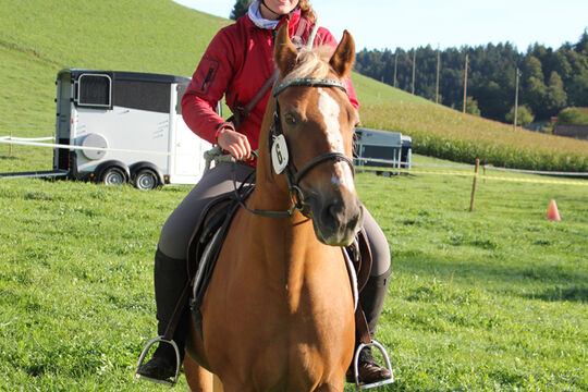 Plauschturnier im Bächi 008