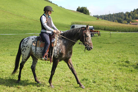 Plauschturnier im Bächi 019