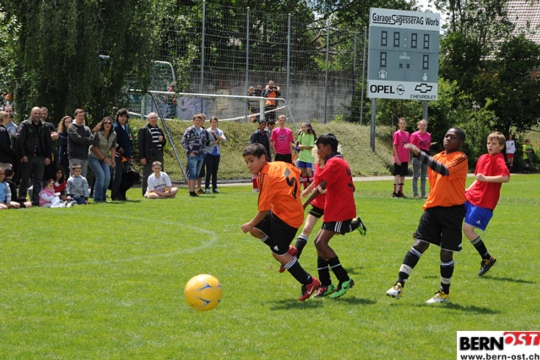 9412defa7a22ca1cdf4257d8f5854980.jpg