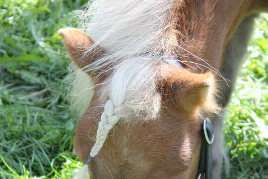 Plauschturnier im Bächi 042