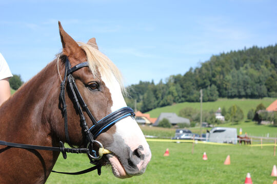 Plauschturnier im Bächi 049