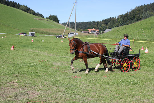 Plauschturnier im Bächi 051