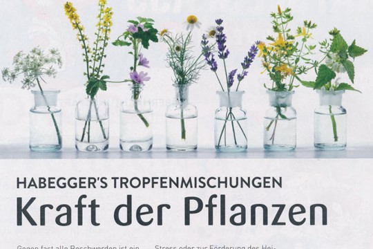 24-03HausmTropfenmischung.jpg