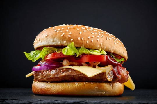 Hamburger.jpg