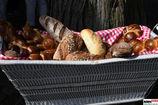 Brunch_1_August