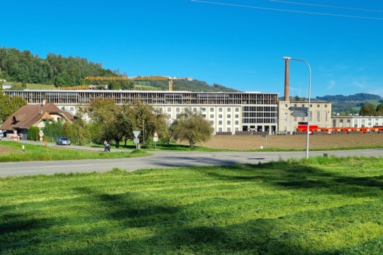 kreisel