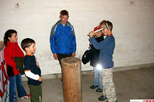 95a69de38af54982a6a6c9144a5811ac.jpg