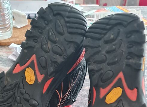 20240609_102217.jpg
