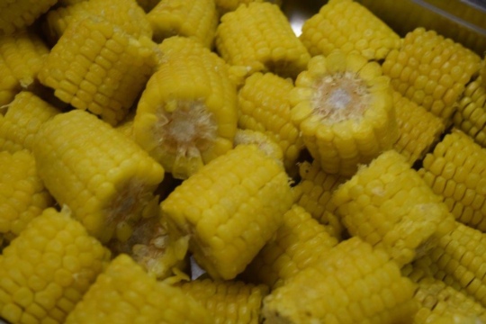 95e051e4d3a69aae2f16fb39470560ed.jpg