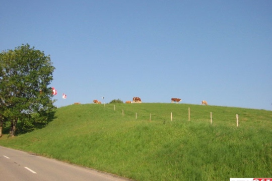 960fc45a7acd395123a1103519254112.jpg