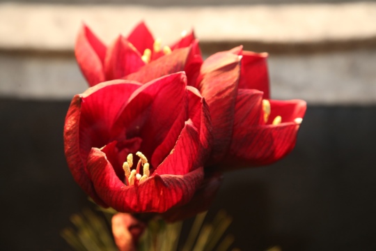 9680f21d27762d580bb965fb0d62ebc8.jpg