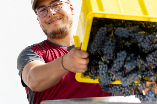 Winzerfest 2023_135.jpg