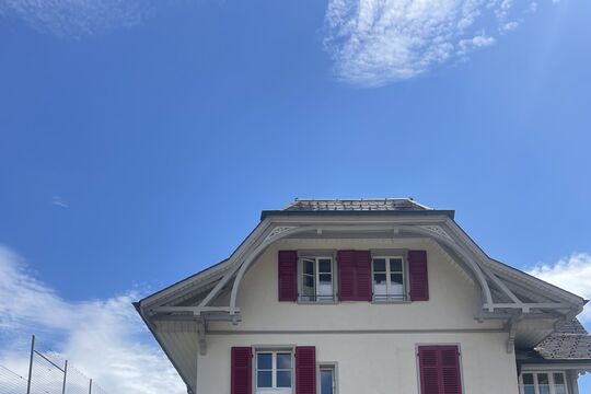IMG_1949.jpeg
